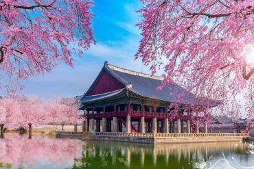 5 Khách sạn đẹp cho du lịch Hàn Quốc tự túc giá rẻ
