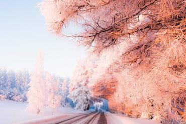 Băng qua đại lộ dẫn tới thiên đường mùa đông