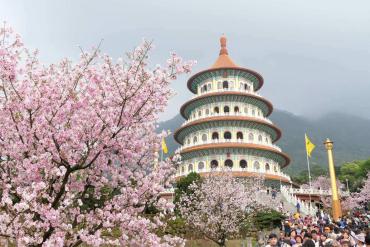 Du xuân Đài Loan, ngắm hoa đào nở sớm