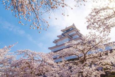 Lạc giữa mùa hoa xuân trên cung đường kim cương Nhật Bản